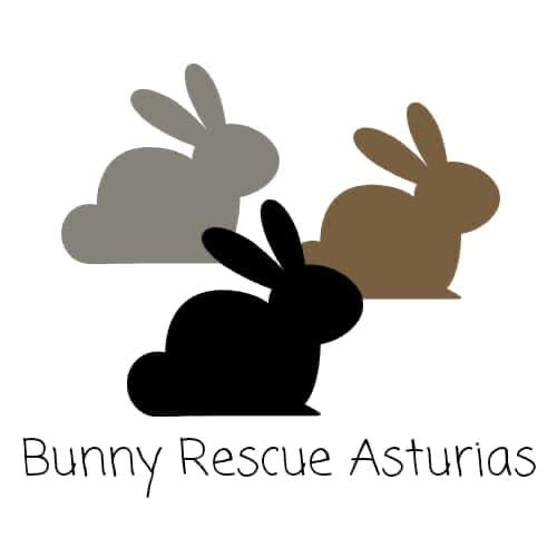 Adoptar conejo Asturias